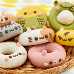 neko donut