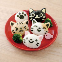 neko onigiri.jpg