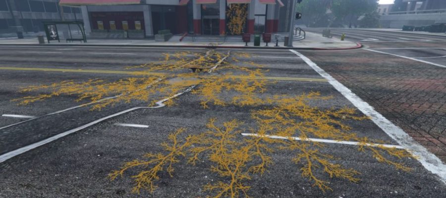 Warning as fungal growth starts to take over Los Santos streets